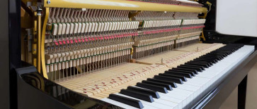 Musikinstrumente pflegen und reinigen – aber richtig