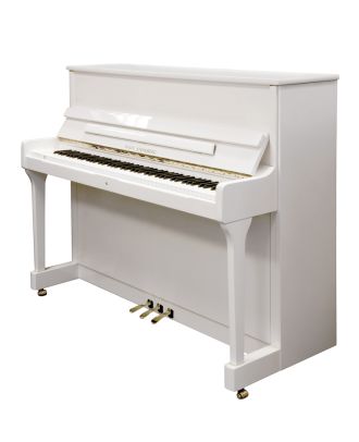 Wilhelm Steinberg S117